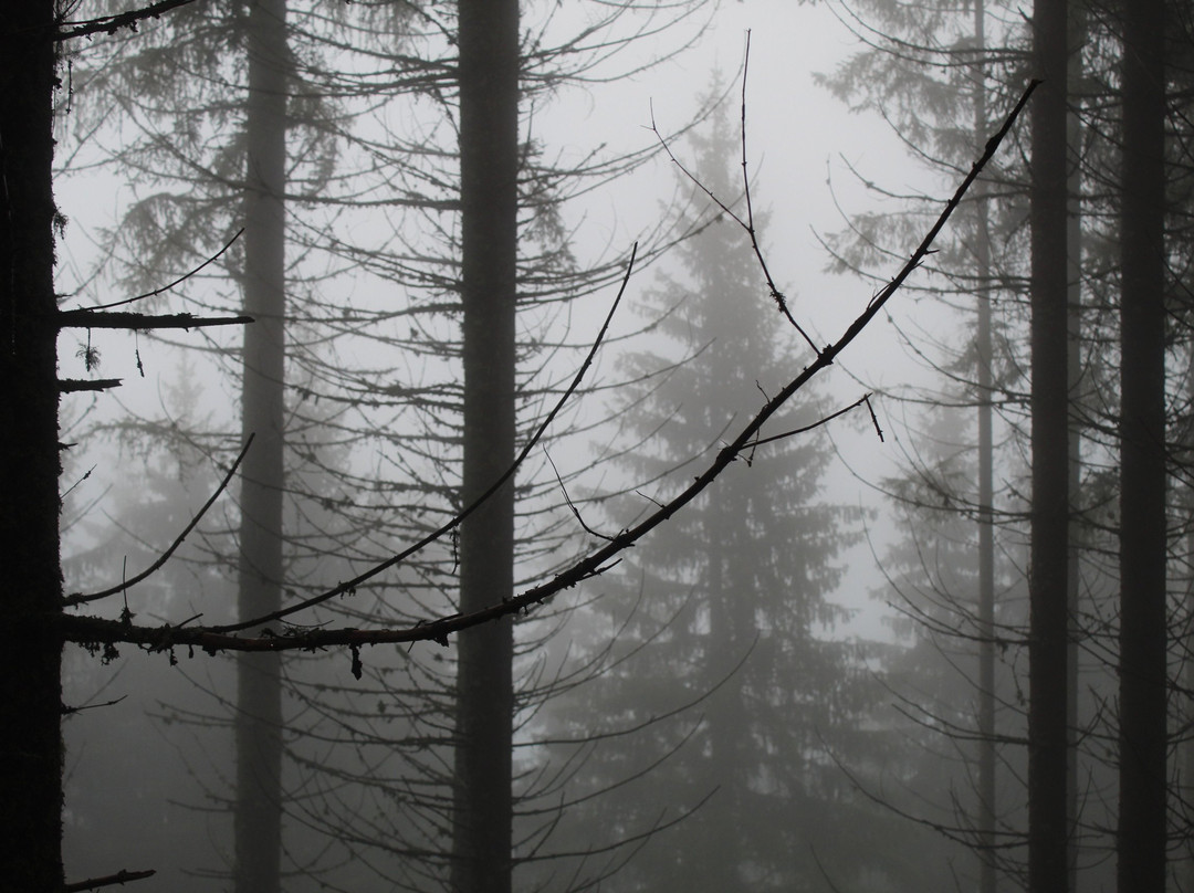 Entre Terre Et Ciel主图