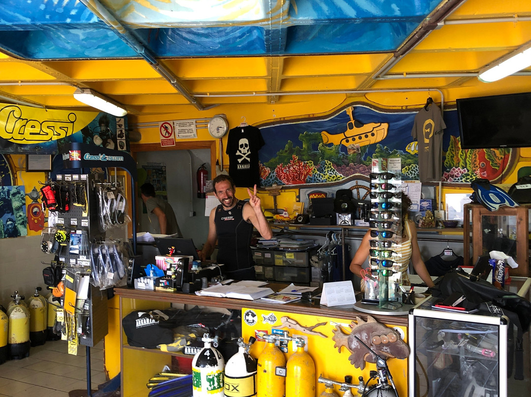 Yellow Submarine-塔里法必去景点