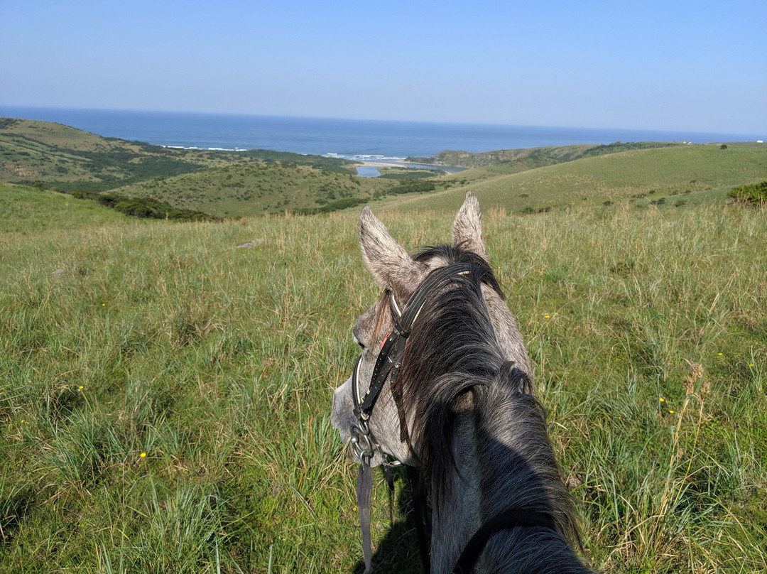 Wild Coast Horse Riding Adventures景点图片