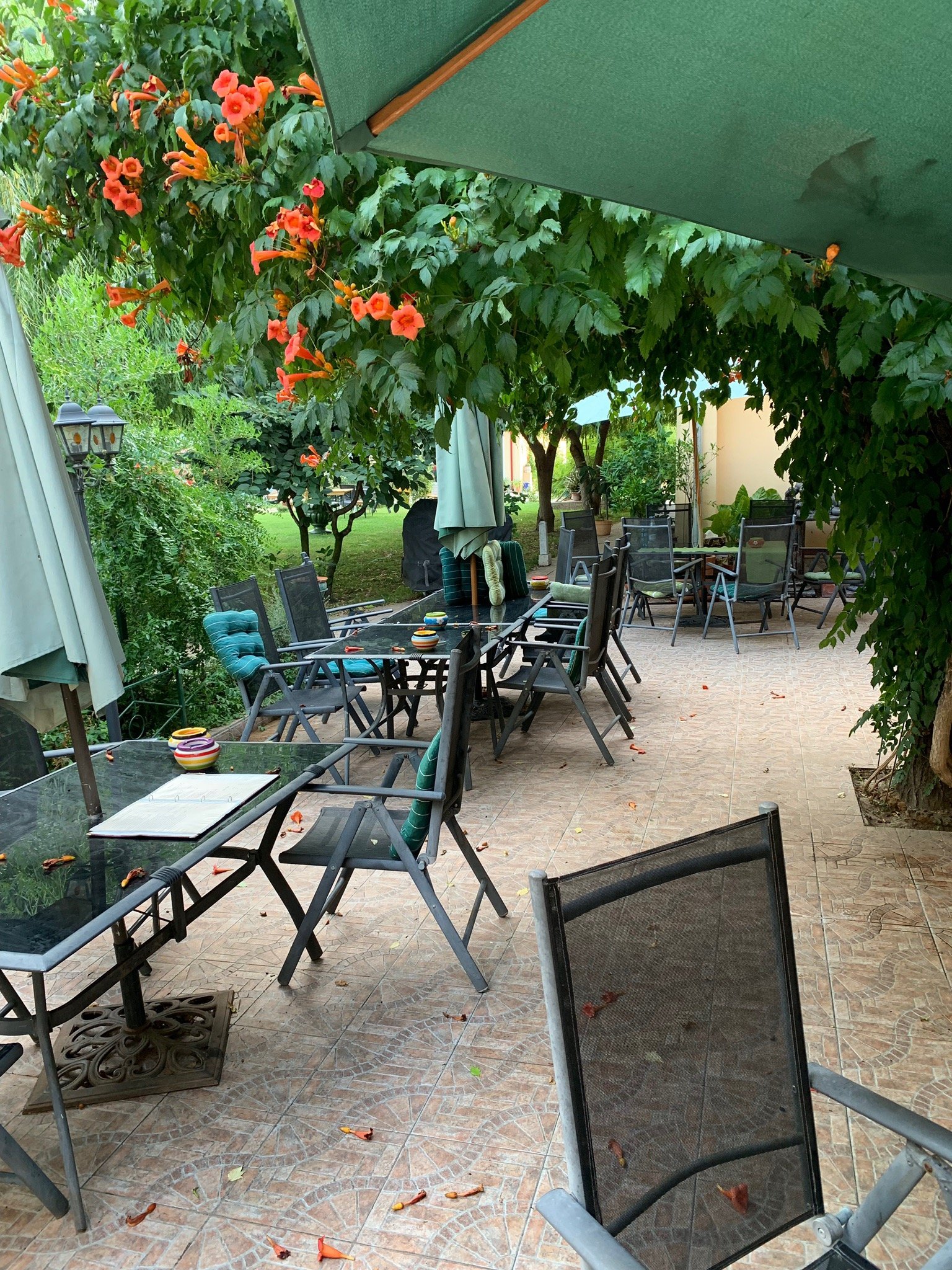 Villa Giulia-官方
