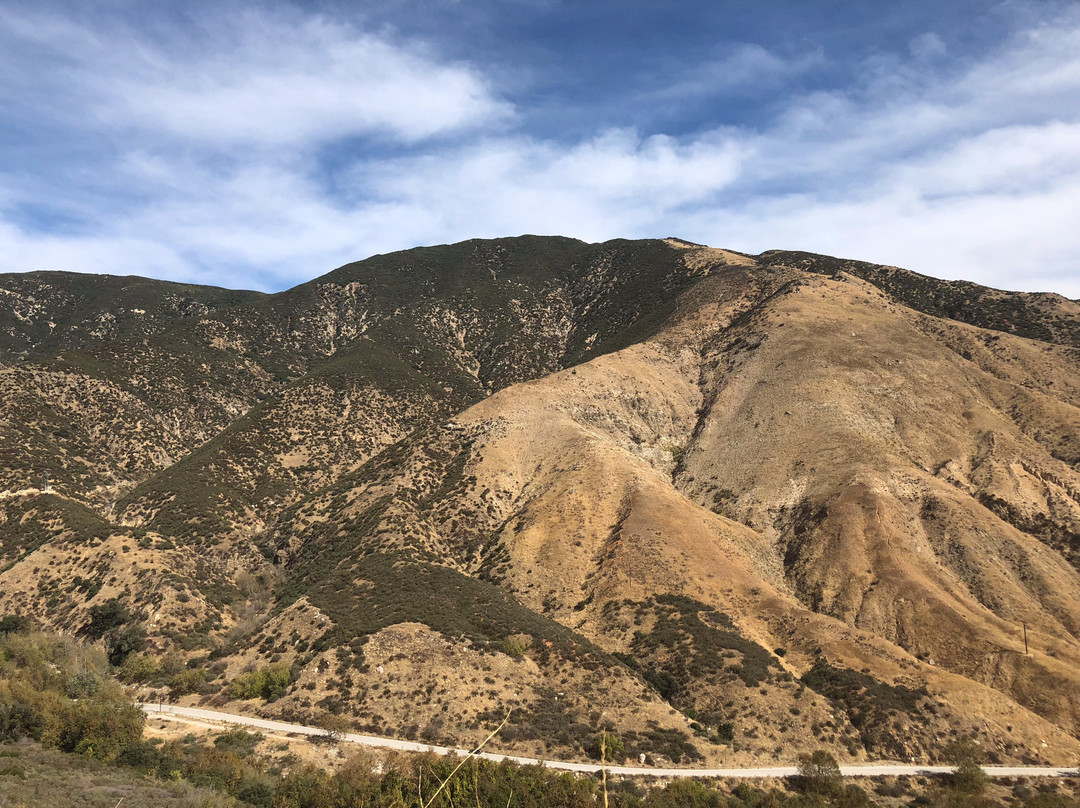 San Bernardino National Forest-圣贝纳迪诺必去景点