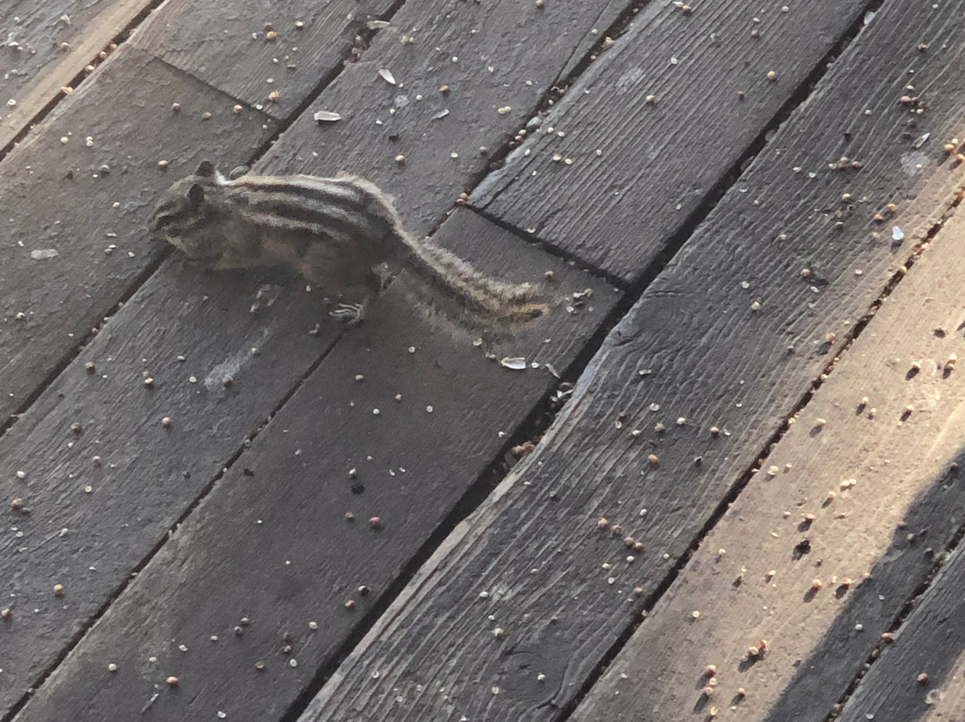 Seven Keys Lodge主图