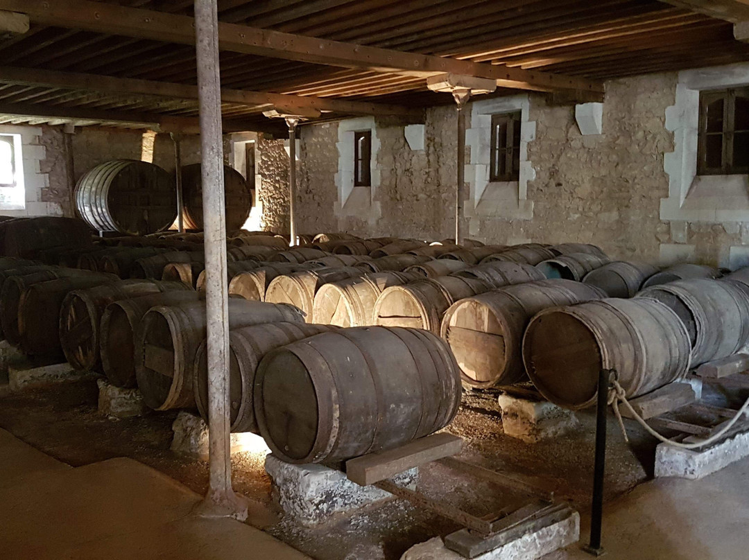 Musée du Chai de Lardimalie景点图片