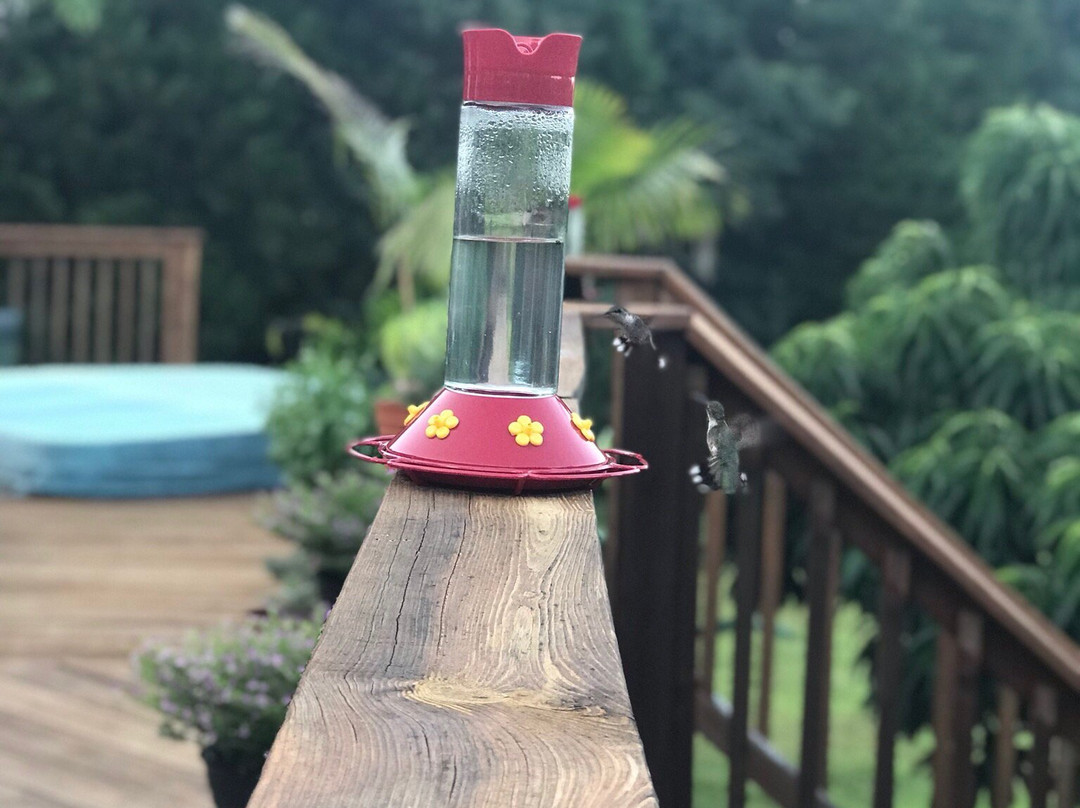 Hidden Hills Bed and Breakfast主图