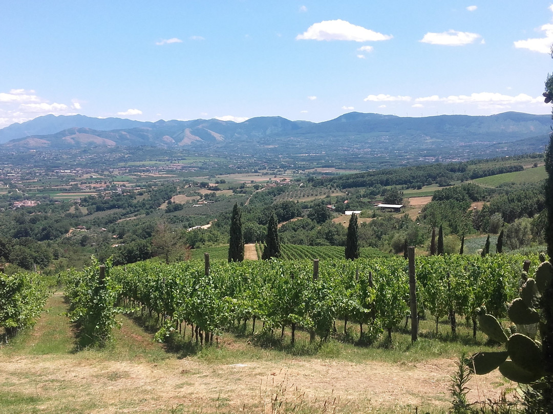 Agriturismo Selvanova主图