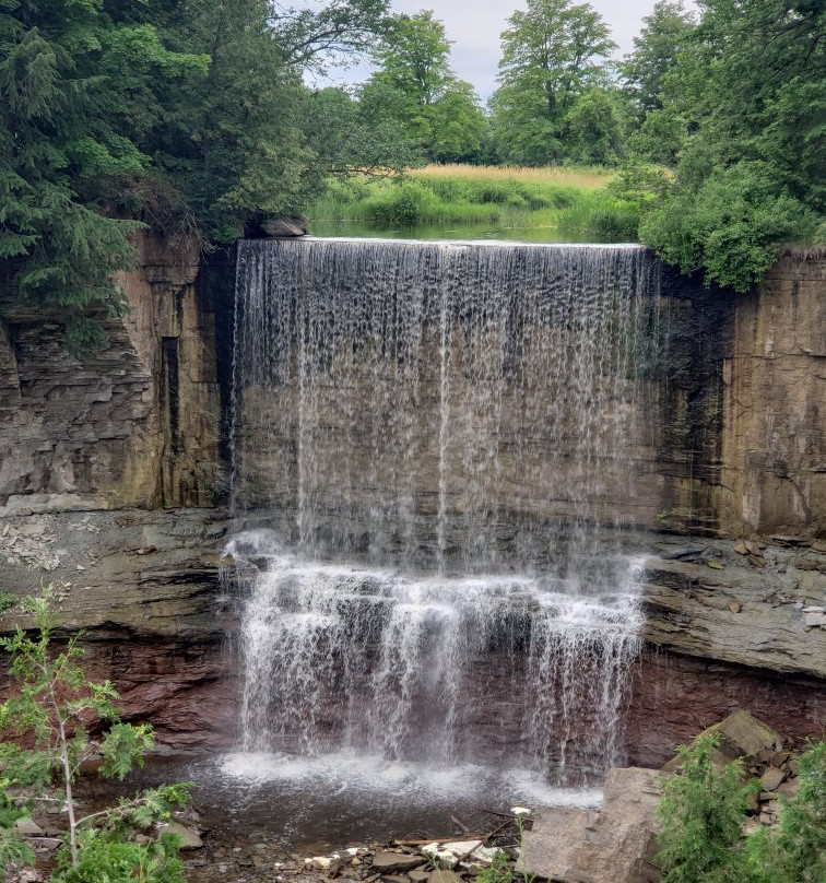 Indian Falls Conservation Area景点图片