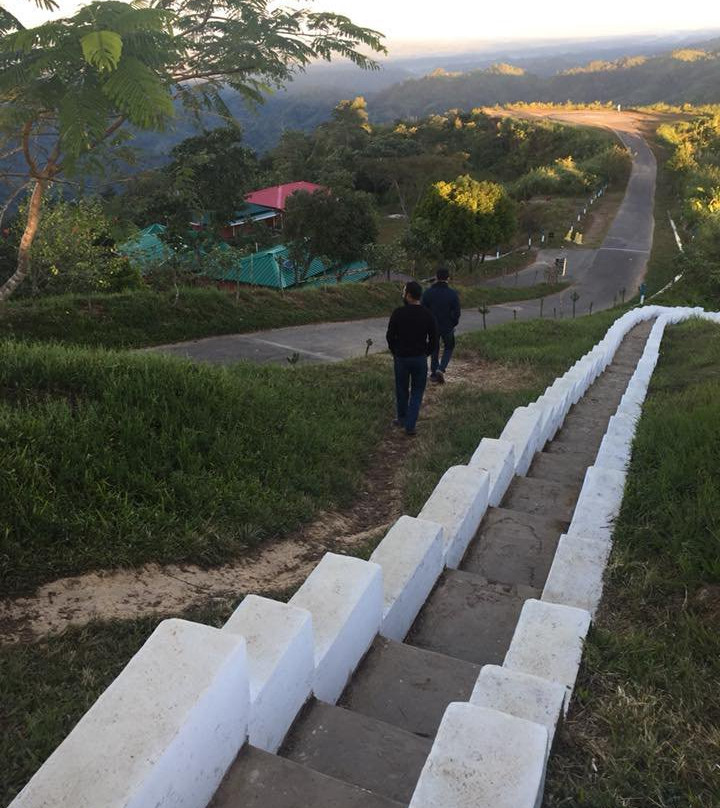 Nilgiri Mountains景点图片