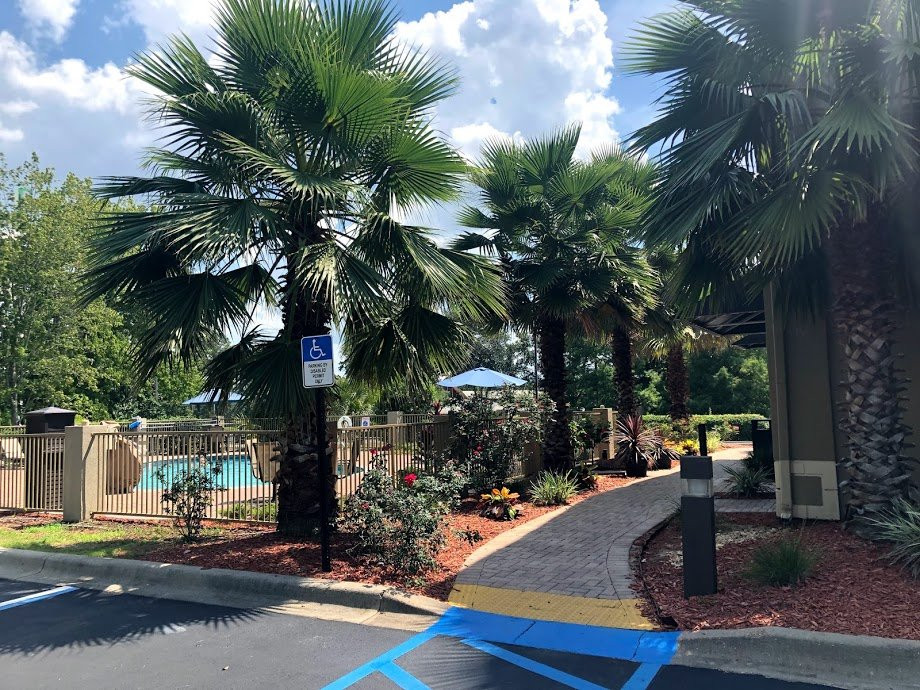 Best Western Plus Tallahassee North Hotel主图