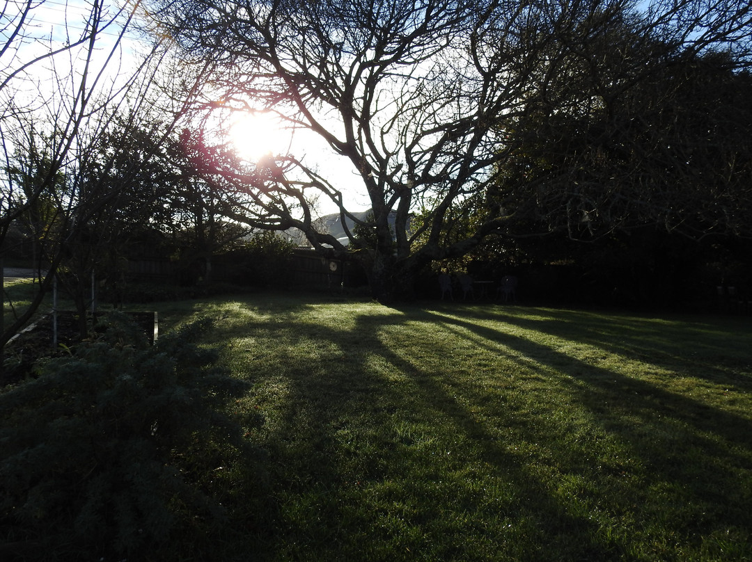 Acacia Bed and Breakfast主图