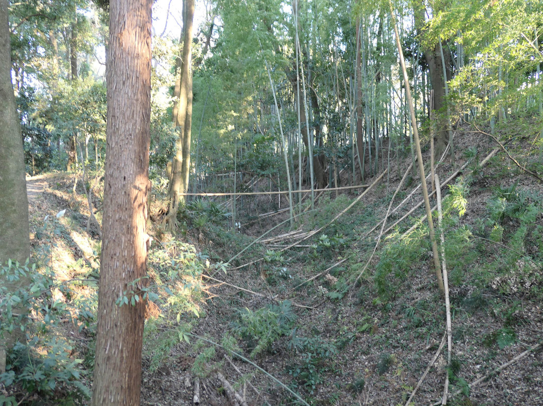 Ushiku Castle Ruins-牛久市必去景点