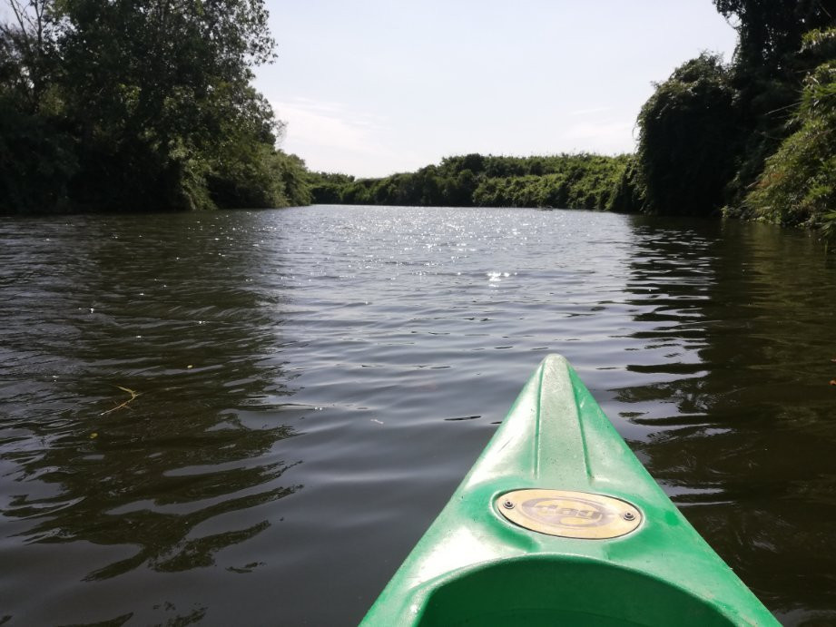 Canoë kayak club du golo景点图片