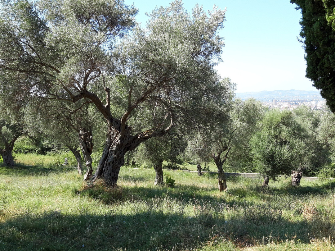 St. Paraskevi's Church-Kavaje必去景点