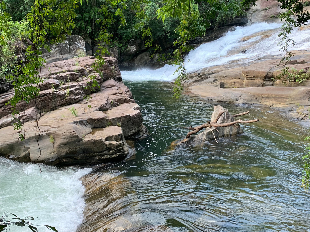 Palmstone Retreat主图