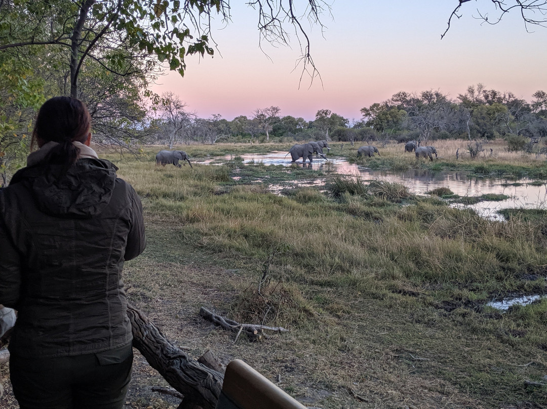 Saguni Safari Lodge主图