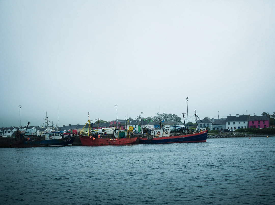 Skellig Adventure-Portmagee必去景点