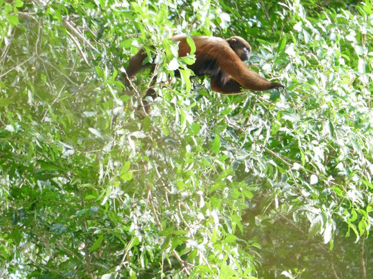 Anaconda Lodge Ecuador主图