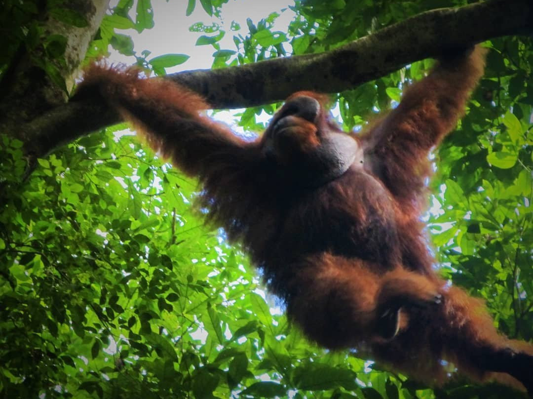 Sadar Wisata Guesthouse主图