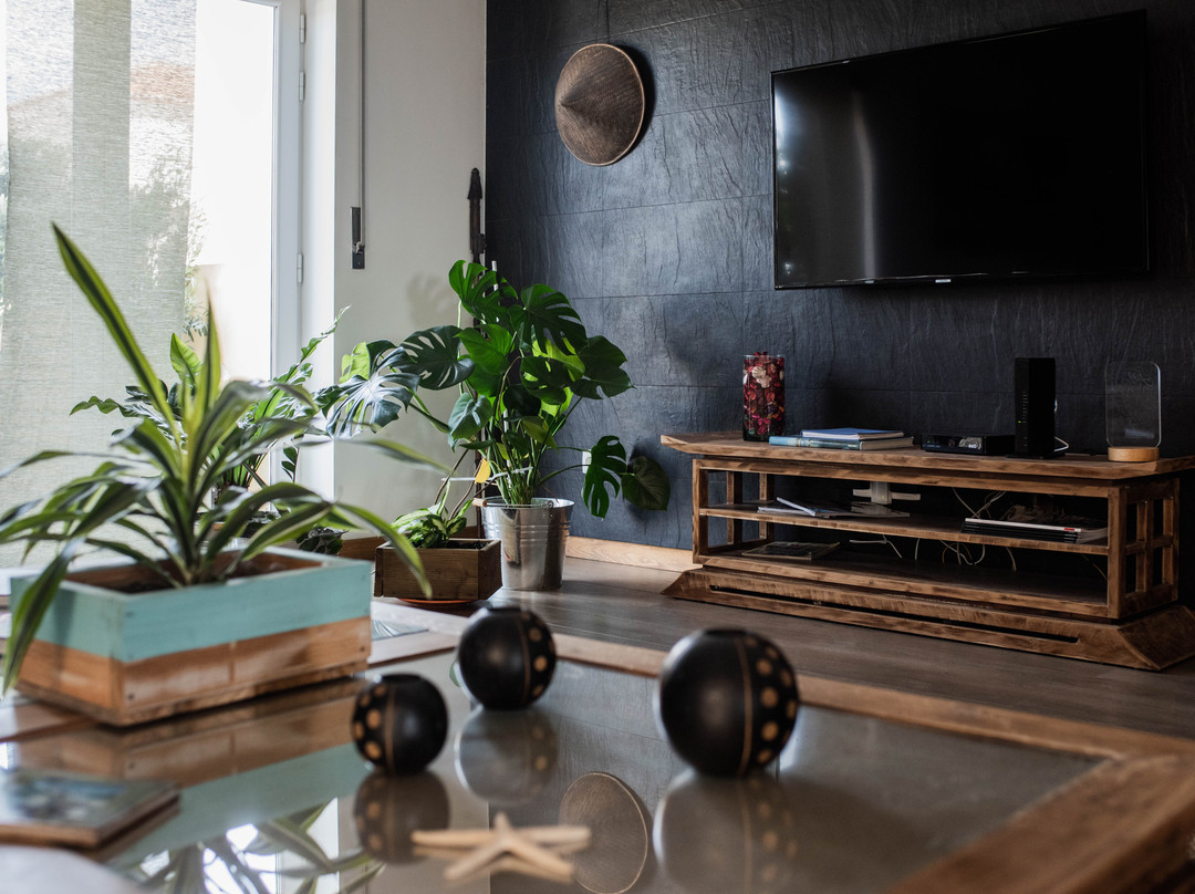 Ferrel Surf House