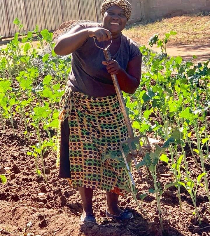 Royalty Travel Victoria Falls-维多利亚瀑布必去景点