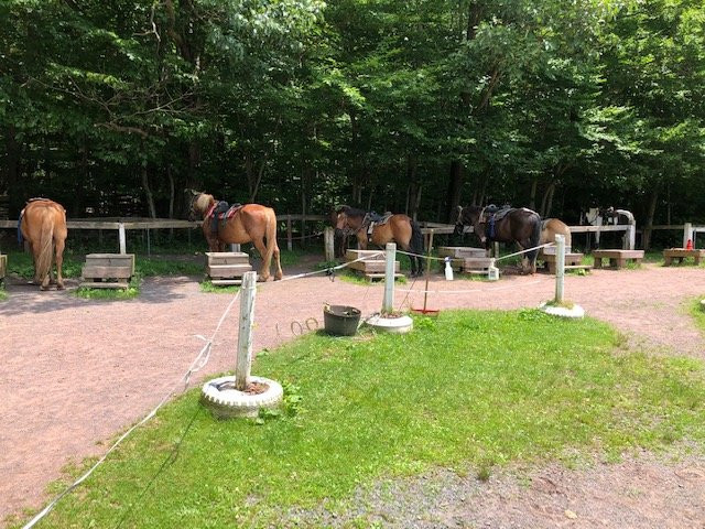 Deer Path Riding Stable景点图片