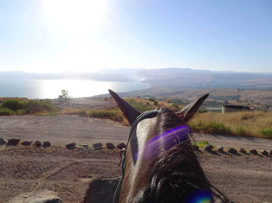 Ramot Ranch-Ramot必去景点