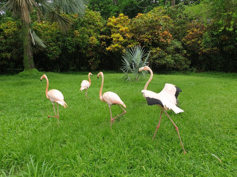 安提瓜岛酒店主图