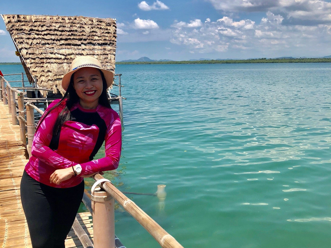 Suyac Island Mangrove Eco-Park景点图片