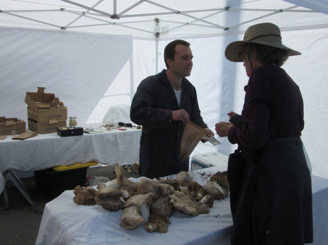 Boise Farmers Market-博伊西必去景点