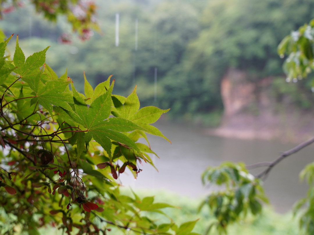 Shiki no sato Kikuya主图