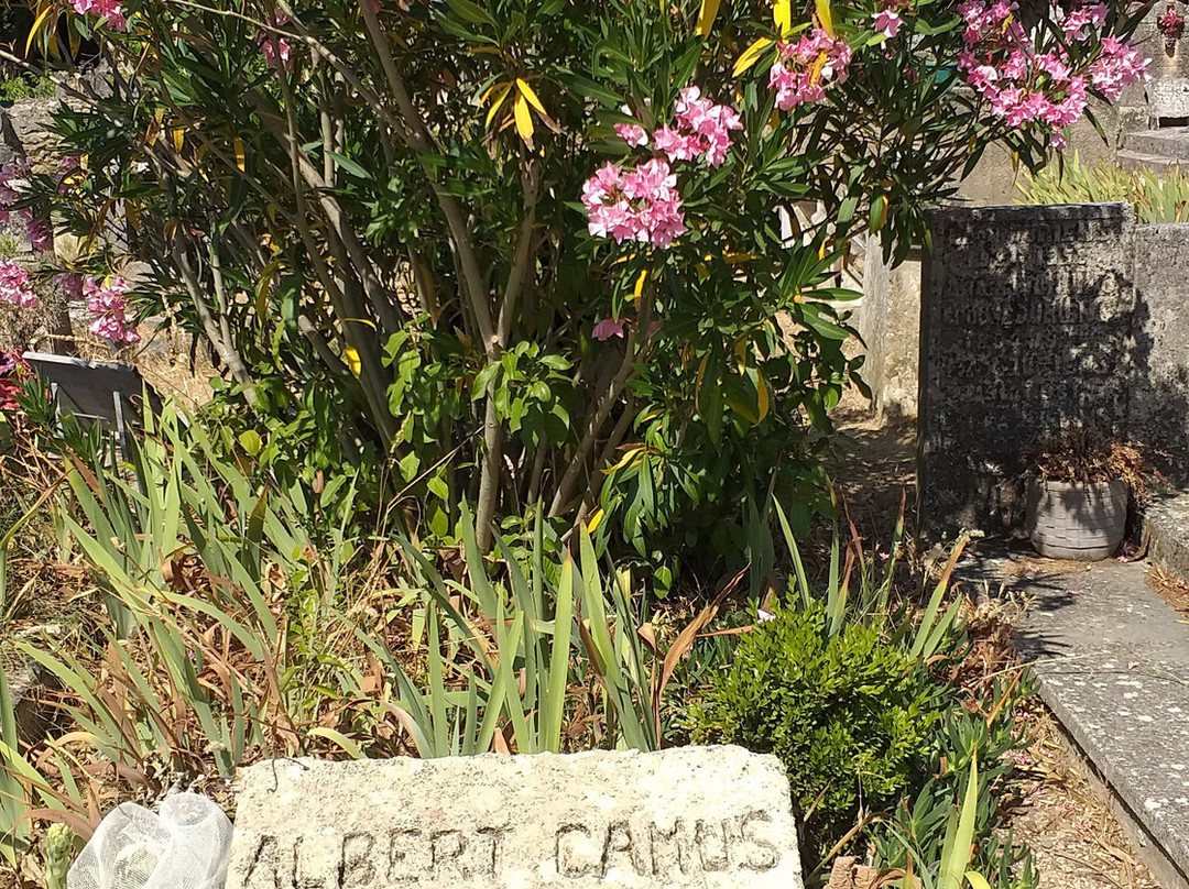 Albert Camus Grave景点图片