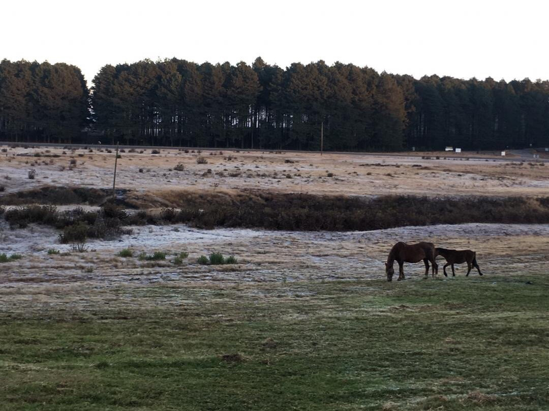 Kaapsche Hoop Gastehuis主图