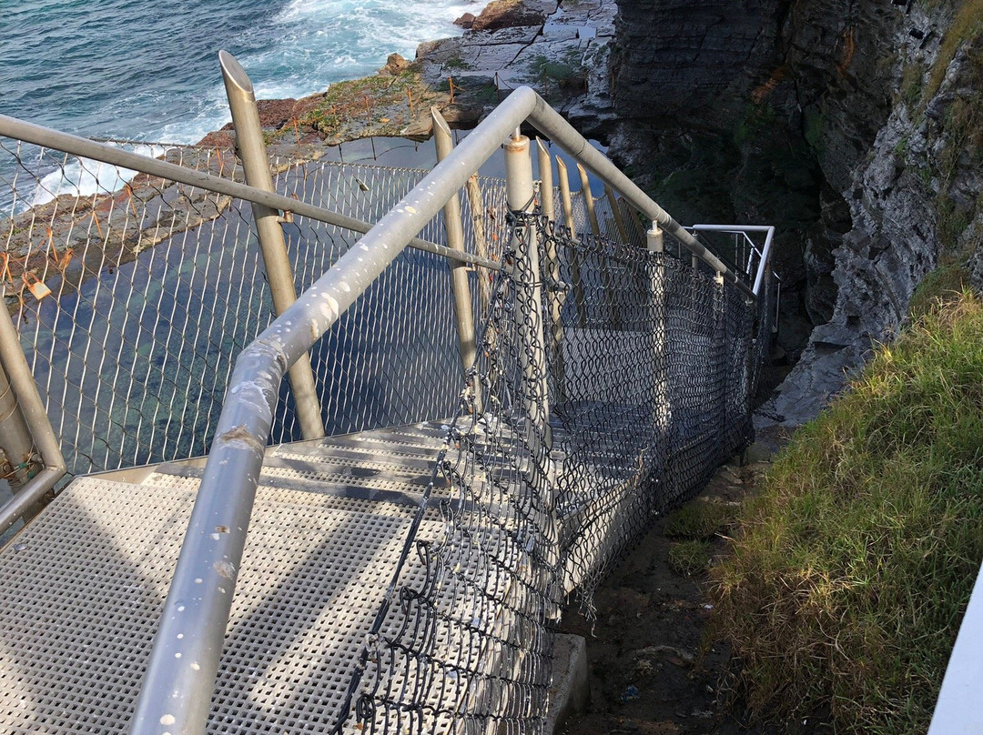 King Edward Park-纽卡斯尔必去景点