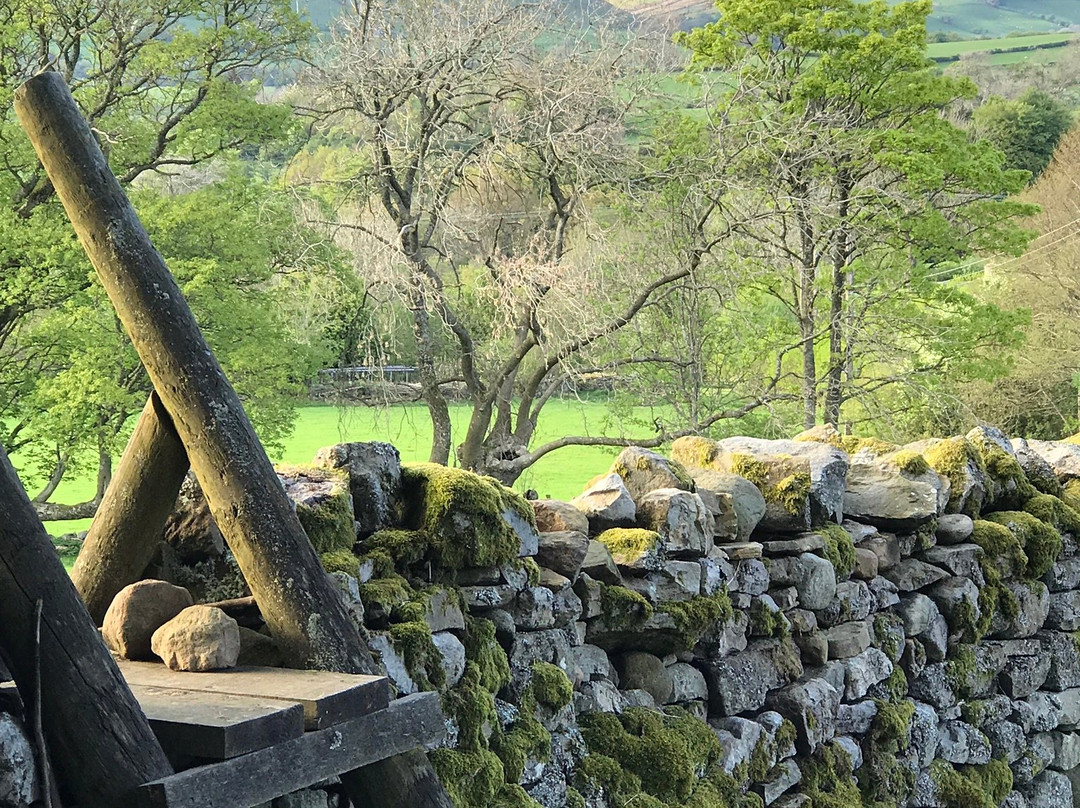 Low Branthwaites主图