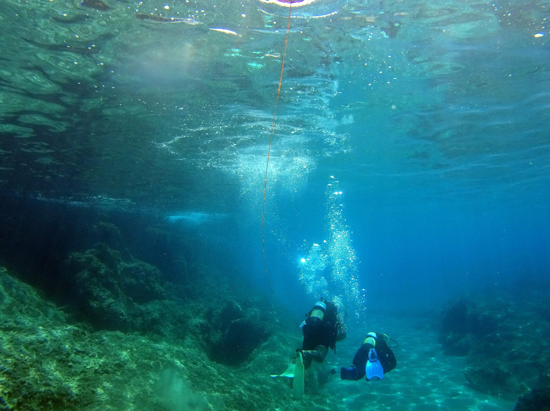 Royal Blue Diving Center (francophone)景点图片