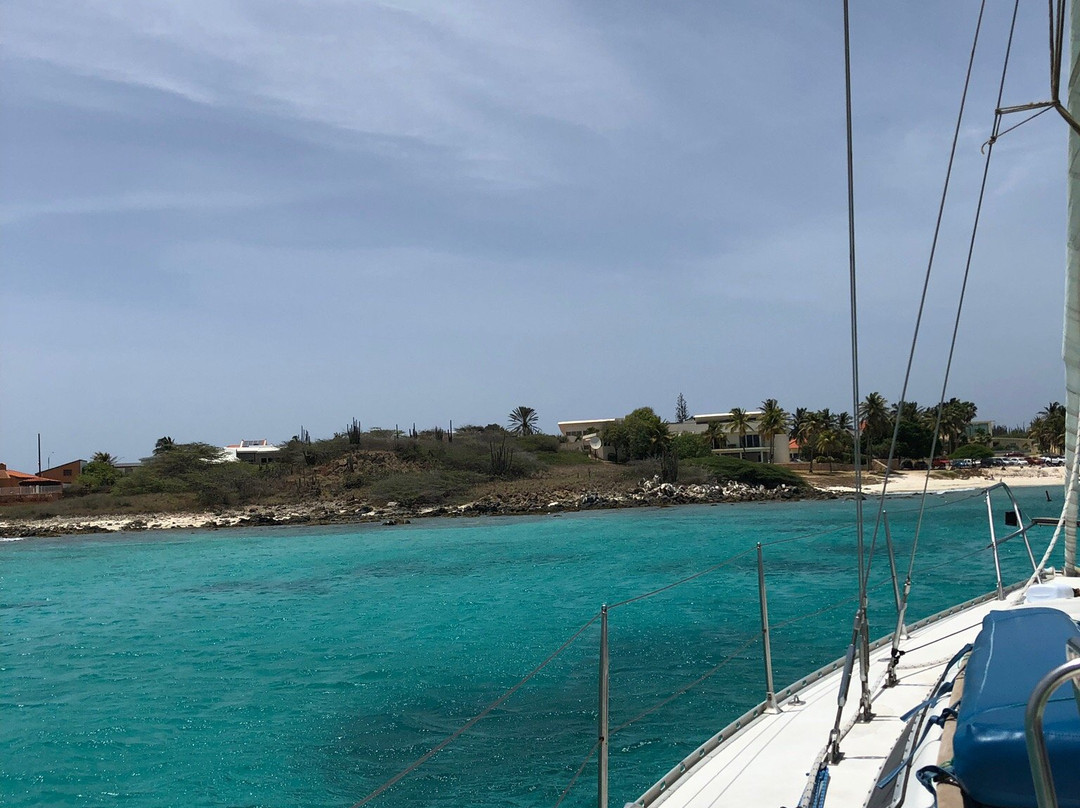 Sailing Charter Flying Fishbone II-萨瓦内塔必去景点