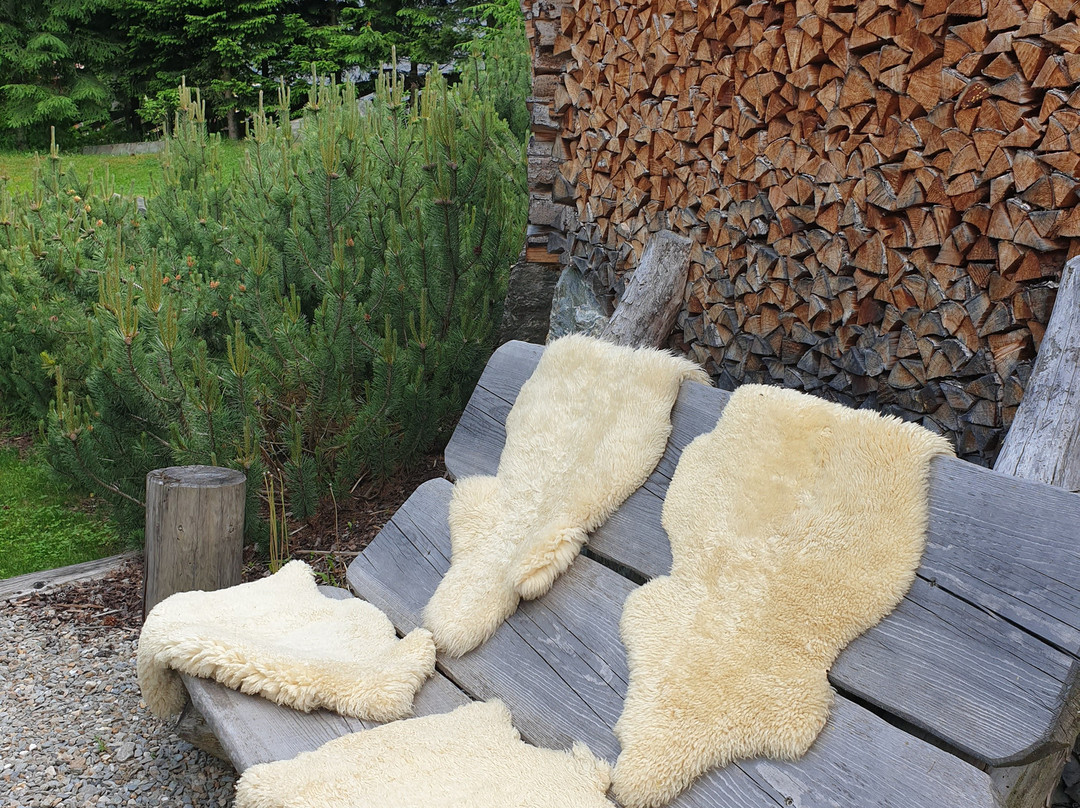 AROSEA Life Balance Hotel主图