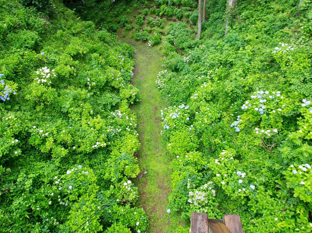 Kurobanejoshi Park-太田原市必去景点