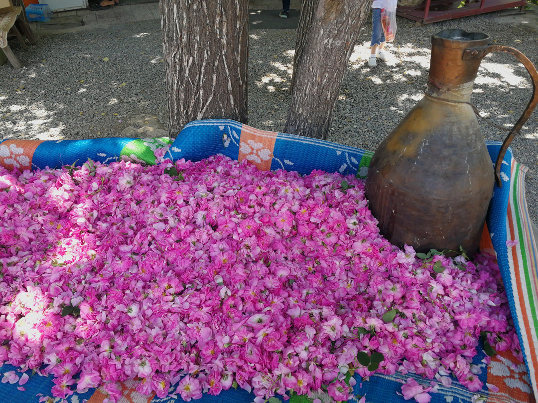 Niasar Waterfall-Neyasar必去景点