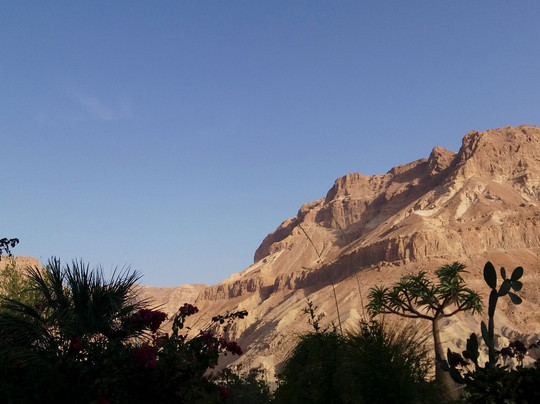 Israel Reiseleiter Ushi Engel - Day Tours-特拉维夫必去景点