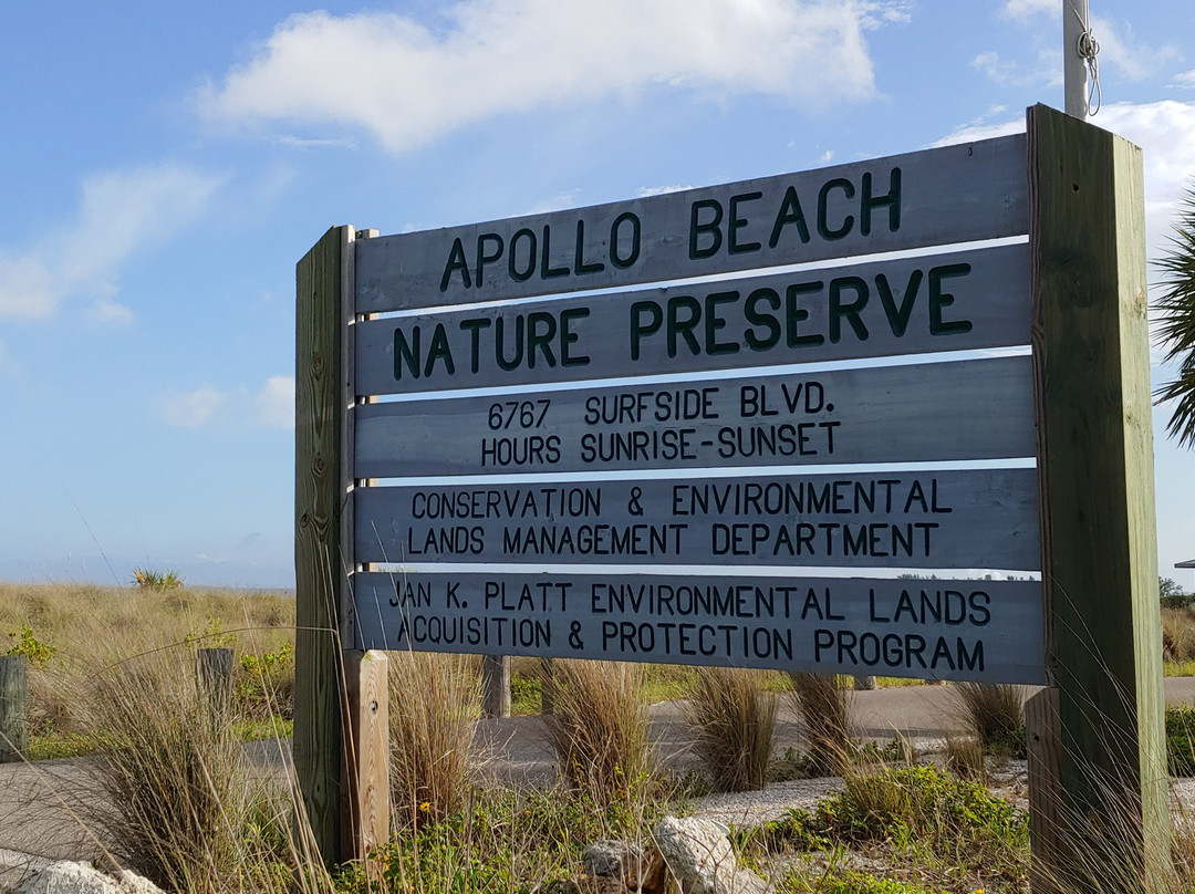 Apollo Beach Nature Preserve景点图片