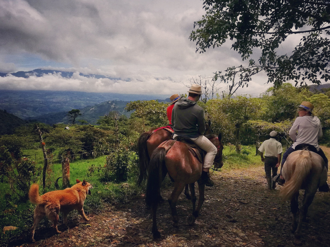 Queveri Horseback Riding Tours景点图片