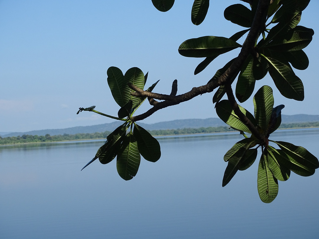 EKHO Lake House主图