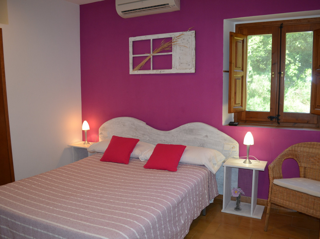 Casa Rural Can Miquel主图