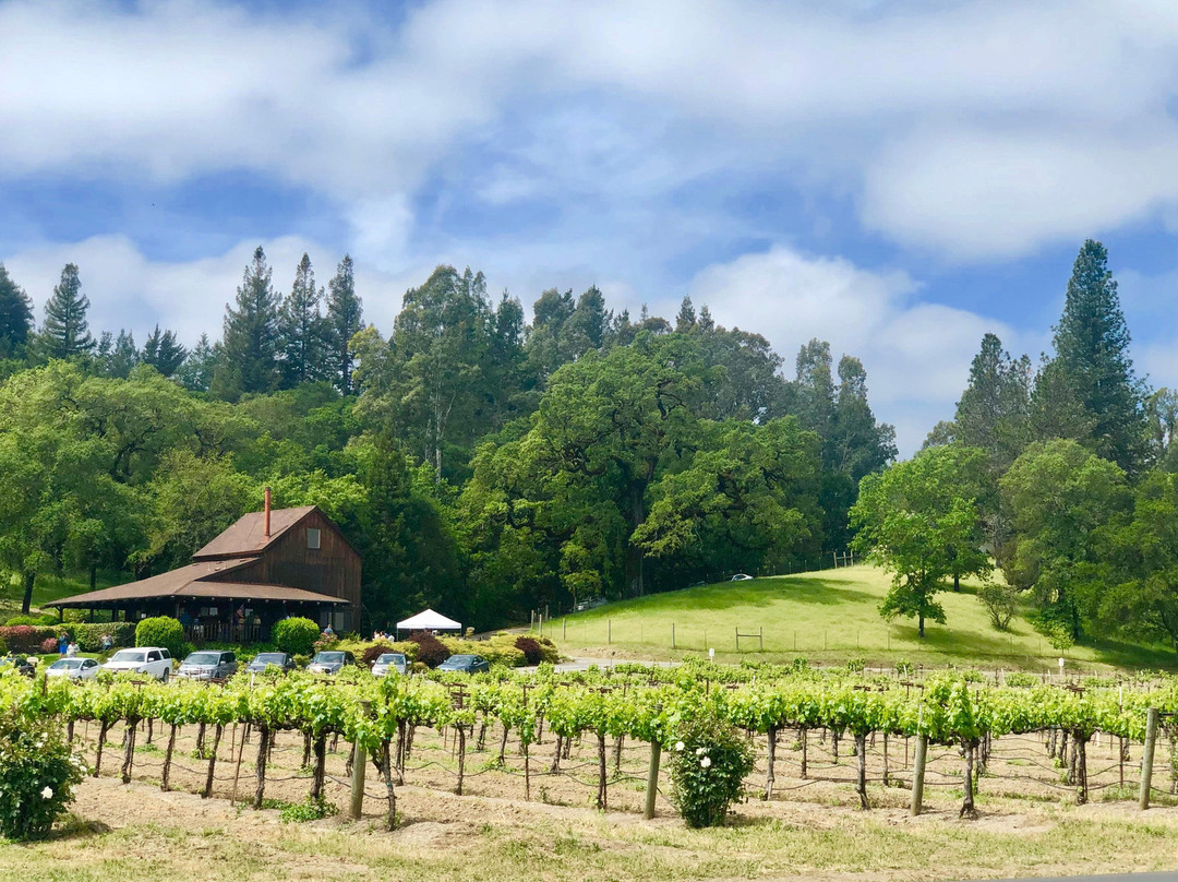 Diamond Express Limo-Brentwood必去景点