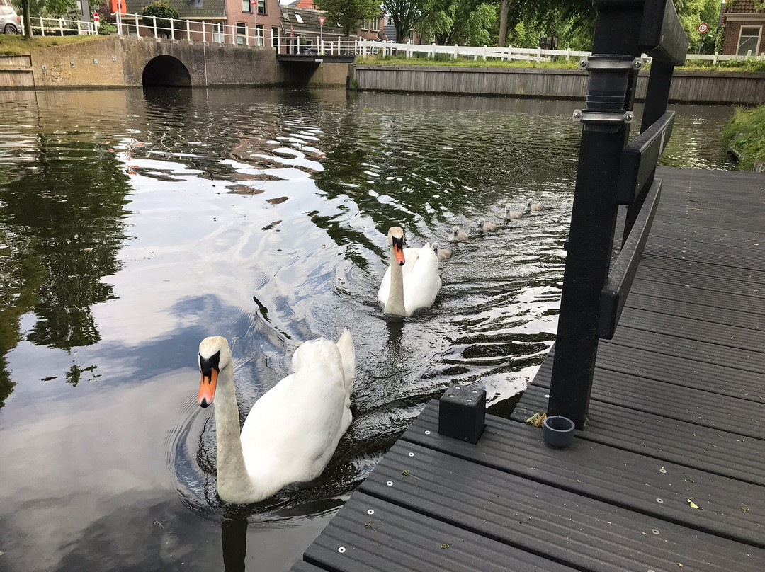 'n Kat aan 't Rad主图