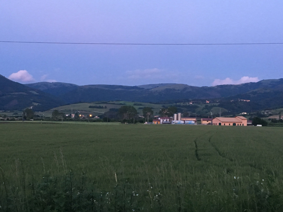 Parco Regionale di Colfiorito景点图片