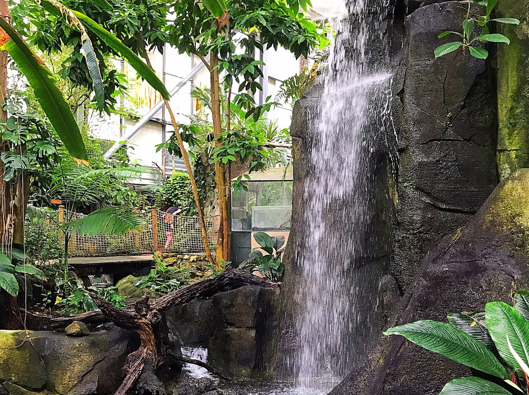 La Serre Amazonienne景点图片