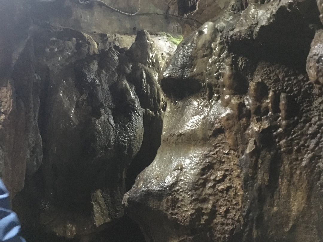 Hiraodai-北九州市必去景点