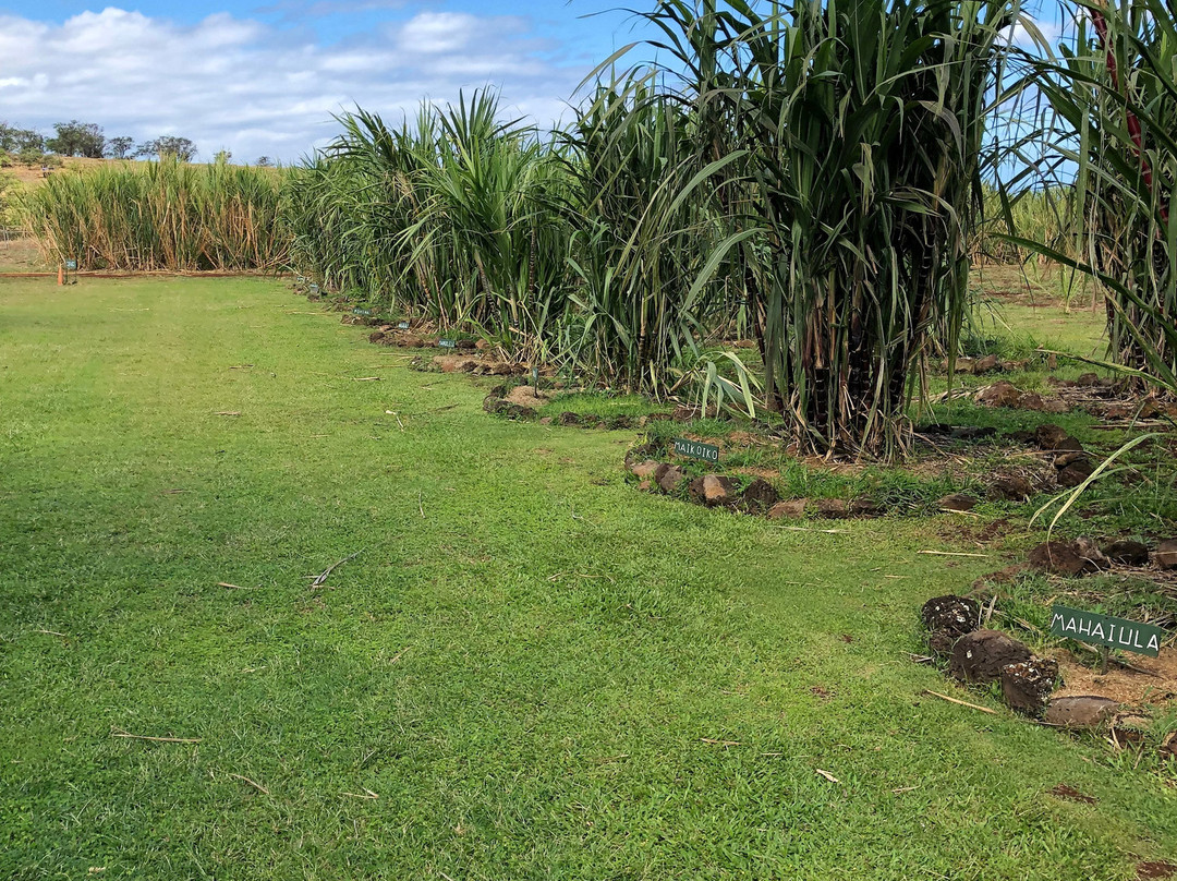 Ocean Vodka Organic Farm and Distillery-库拉必去景点