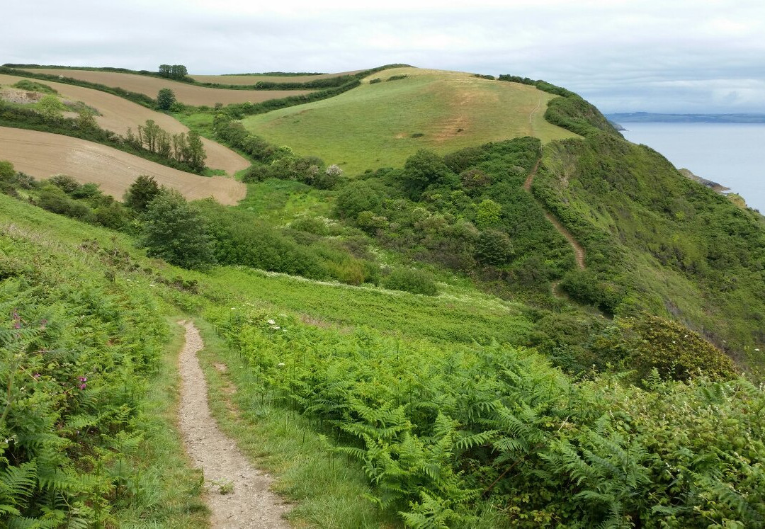 Mevagissey, Heligan & the Prehistoric Tin Stream - South West Coast Path Walk-梅瓦吉西必去景点